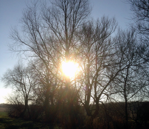 Energising your content marketing focus with January sunshine