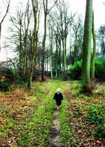 Boy walking in woods alone