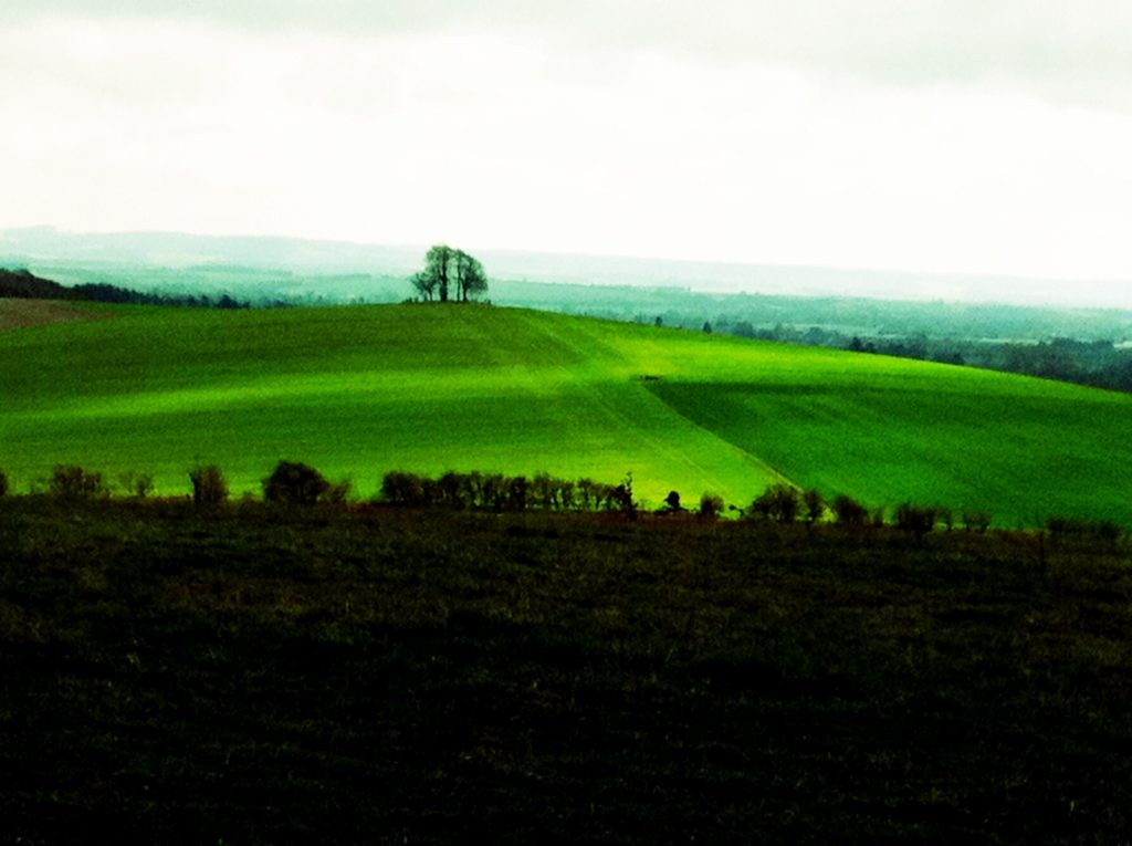 Almost a Spring day at Wittenham Clumps