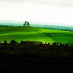 Almost a Spring day at Wittenham Clumps