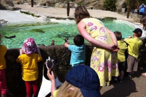Feeding the penguins on our pre-school day trip