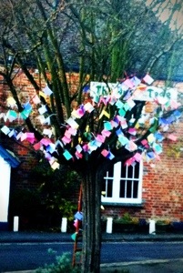 Sunday wishing tree