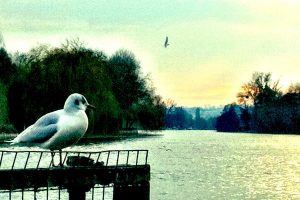 Sunday thames