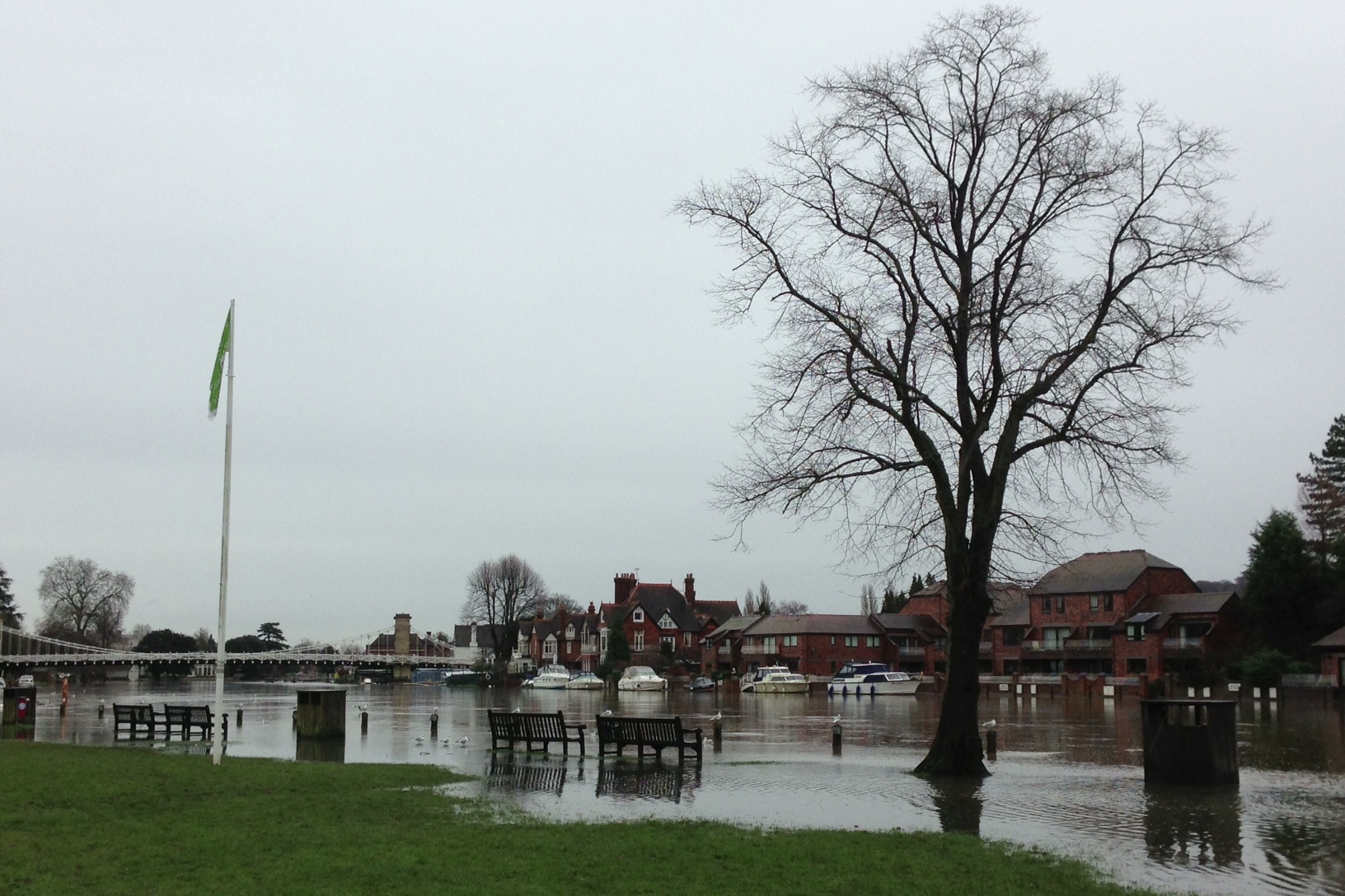 Silent Sunday: week 2, 2014 - Winter Floods at Marlow, Bucks