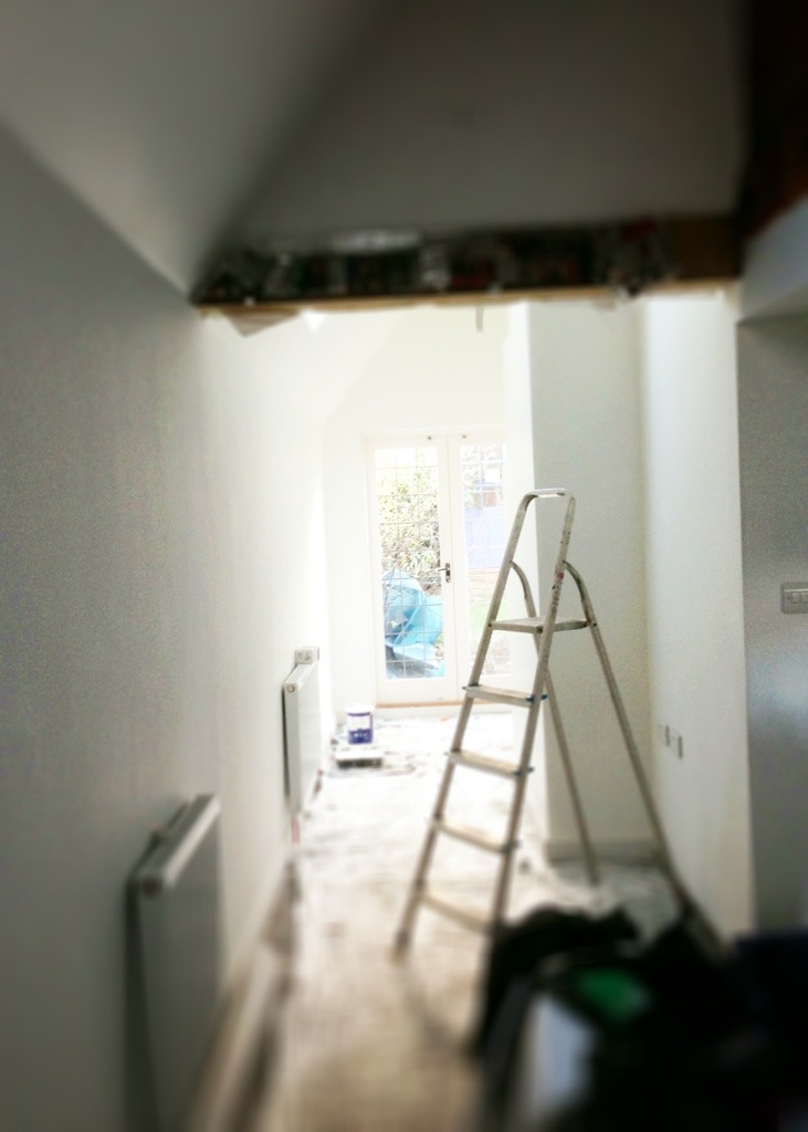 Silent Sunday: week 5, 2014 - painting new extension