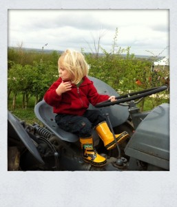 Small boy riding a tractor